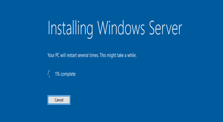 I Can Set Up a Windows Server with Active Directory, DNS, and DHCP for Your Business