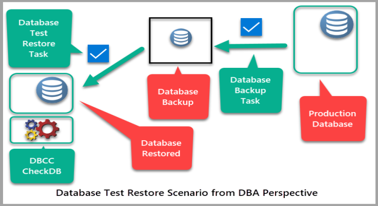 I set up automated backups and design recovery plans to protect data and ensure business continuity.