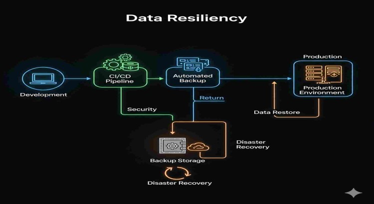The Phoenix Initiative: Data Resiliency as a Service